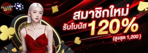 เว็บallnew911